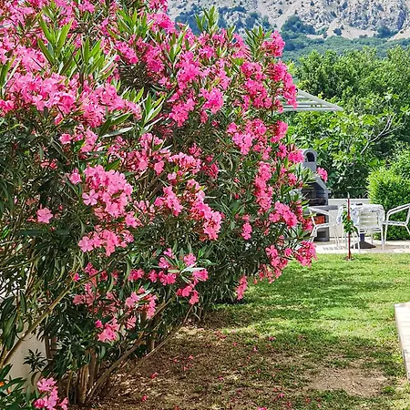 Benkovic Apartamento Baška